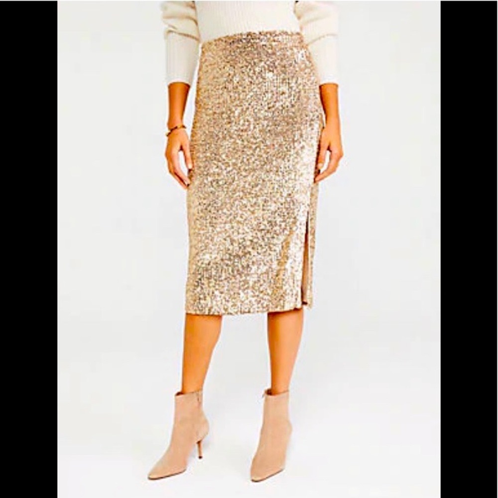 NWT Ann Taylor Sequin Skirt